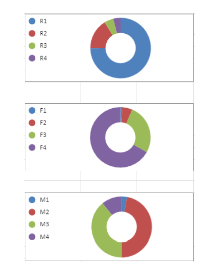 RFM -SET - GRAPH.png